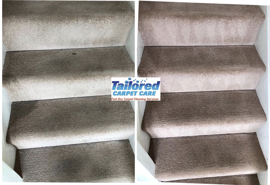Tailored Carpet Care tweet media