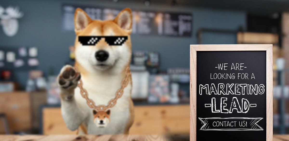 dogecashcoin's tweet image. At #DogeCash we are looking for a #Marketing #Lead that can join our Core Team. Please visit our Discord and contact any of us for more information. 

discord.dogec.io

#DogeCash $DOGEC #Hiring #JoinUs