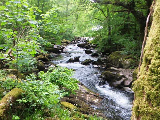 Exmoor NPCs tweet media