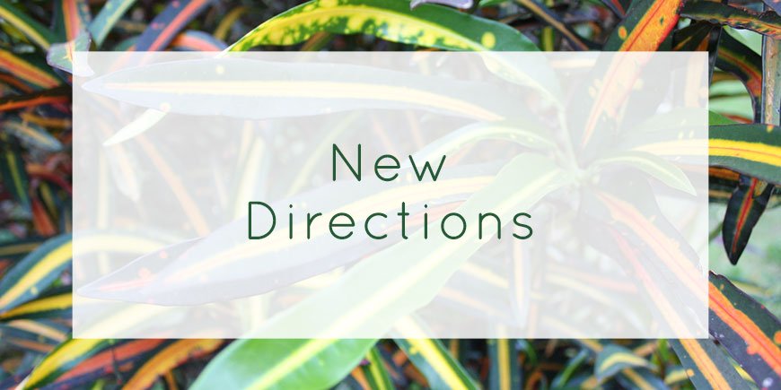 Hello, it's been a while! Read my latest blog post for news on my business and the shape of things to come. Saying goodbye to wallpaper, focusing on round rugs and runners and doing lots more commissions and collaborations in the future. interiorsbyelement.com/blog/