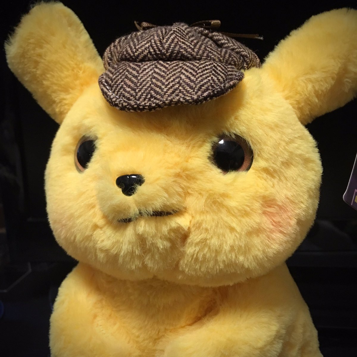 カノックスター様買って欲しいです(T＿Tピカチュウ ぬいぐるみ 中型 驚いた表情 名探偵ピカチュウ ぬいぐるみ 偽物