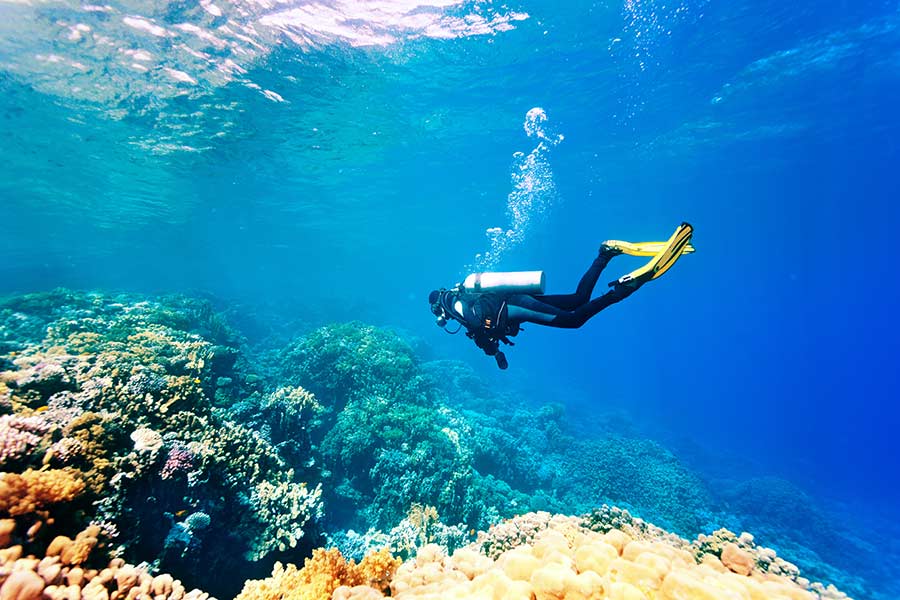 ExqIndulgence's tweet photo. Have you booked your summer holiday yet?

Don't worry, there's still time and with flights to Corfu from @SouthendAirport it's the perfect getaway.

Visit our website to find out more: https://t.co/JcVuVWITeD https://t.co/urm7H2FzfC