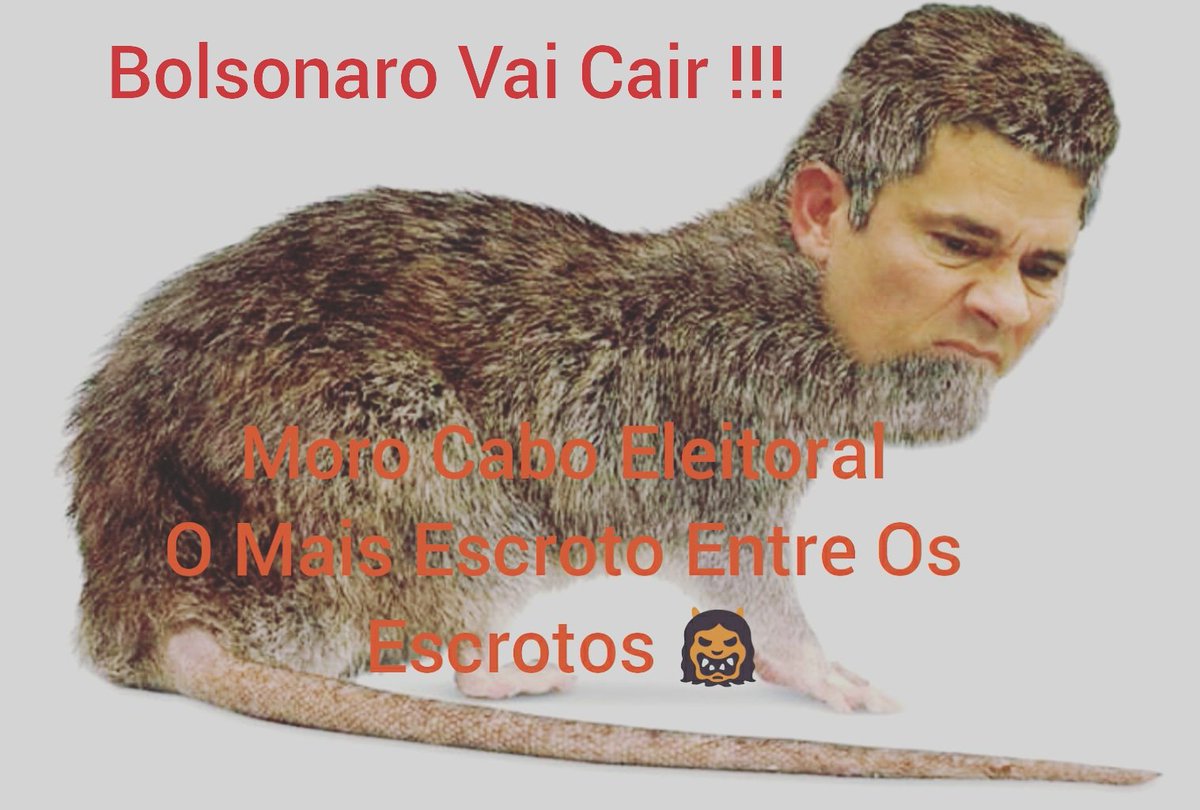 AtivistasBr's tweet photo. #BolsonaroVaiCair
#MoroCaboEleitoral
#RatoDeEsgotoImundo
#DesgovernoFederal
#LaranjasAcimaDeTudo https://t.co/U5Q55ZyJxa
