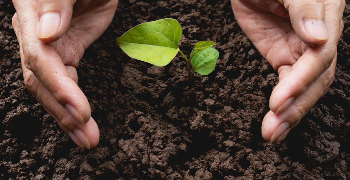 Donderdag 6 juni: What about Soil - College 12 bij #HAShogeschool in Den Bosch. Met als onderwerp: Vitale bodem, gezonde voeding? #vitalebodem #whataboutsoil Programma en aanmelden: bit.ly/2ECJbq6