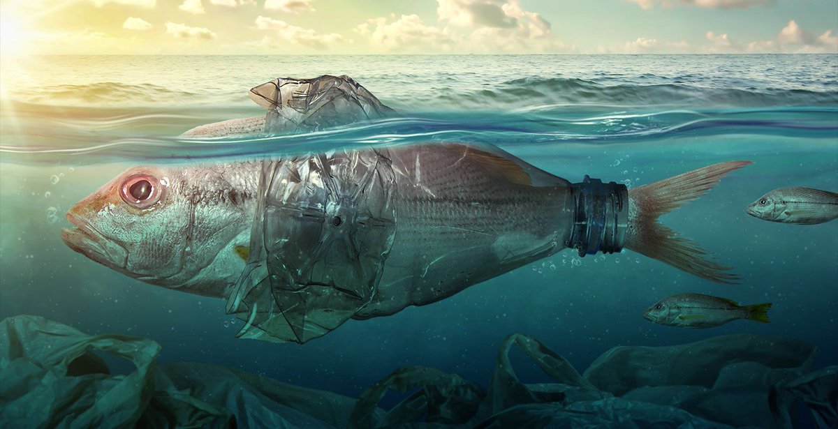CannaBizOpps's tweet photo. Hemp Plastics: A Solution to Cannabis Waste | DOPE Magazine https://t.co/iM4JRChO5Z
For more posts like this, follow @cannabizopps
#ProcureWithPower #KnowledgeIsPower #CannaBizOpps #PoweredByMotagistics #INETCorp #cannabis #CBD #Hemp #supplychain #technology #erp #seedtosale https://t.co/qKmFAbfjSn
