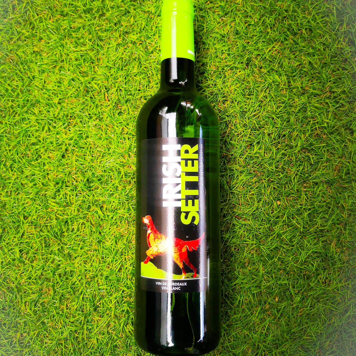 winebuffglasth's tweet photo. We are big fans of this Irish Setter White. Goes well with Salads or can be enjoyed on its own! https://t.co/5oAQBMvFGH