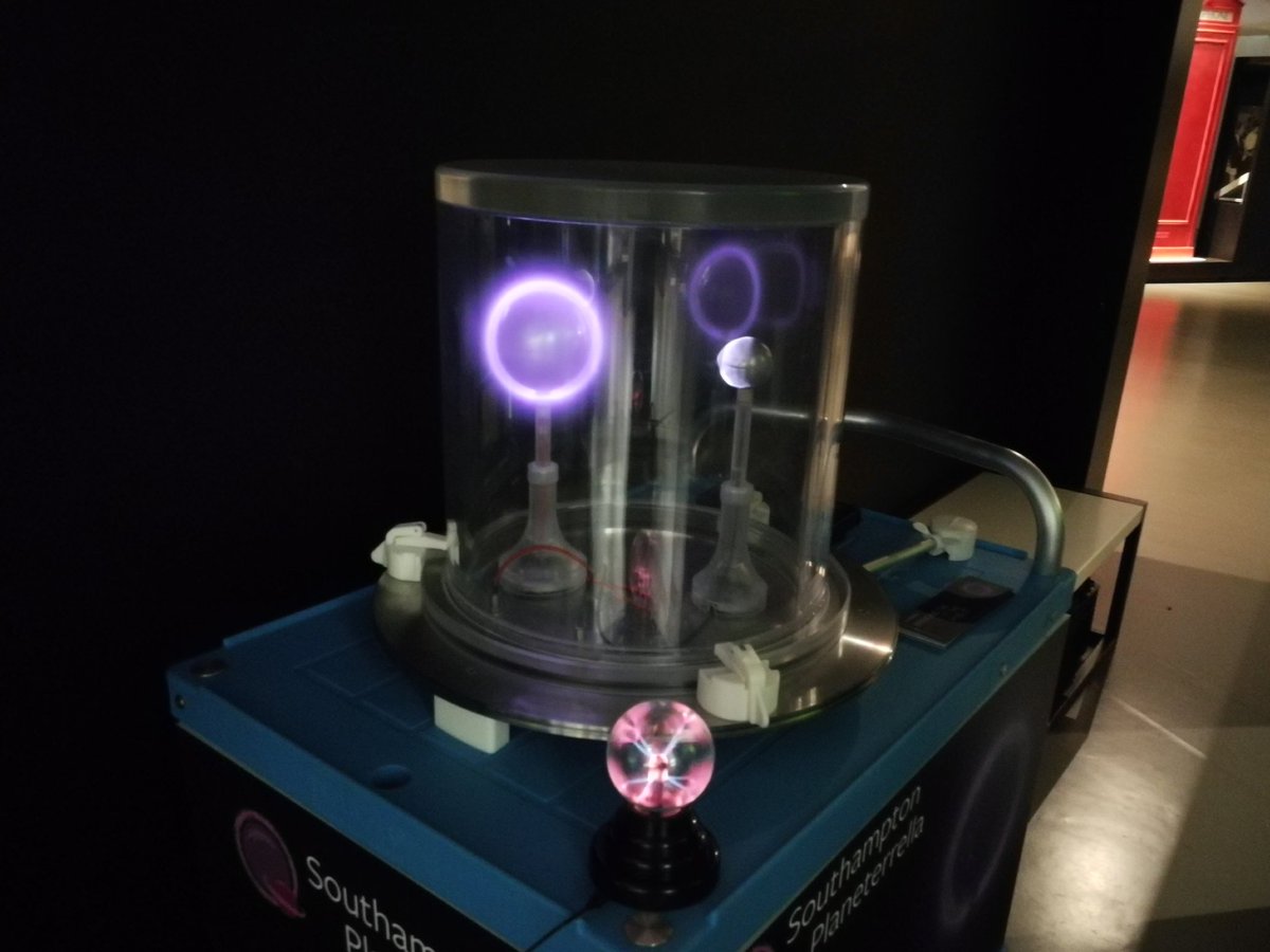 Aurora Zoo tweet media