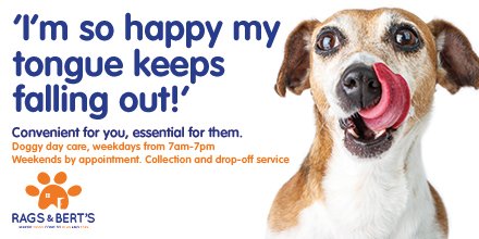 Best day ever!
At Rags &amp; Bert's, your loved one is looked after by caring, qualified professionals, whilst they are having an amazing time with all their friends! 
Call 0118 207 7788 to register for our free 30-minute Play &amp; Stay assessment, or click ragsandberts.co.uk/8/Doggy-Day-Ca…