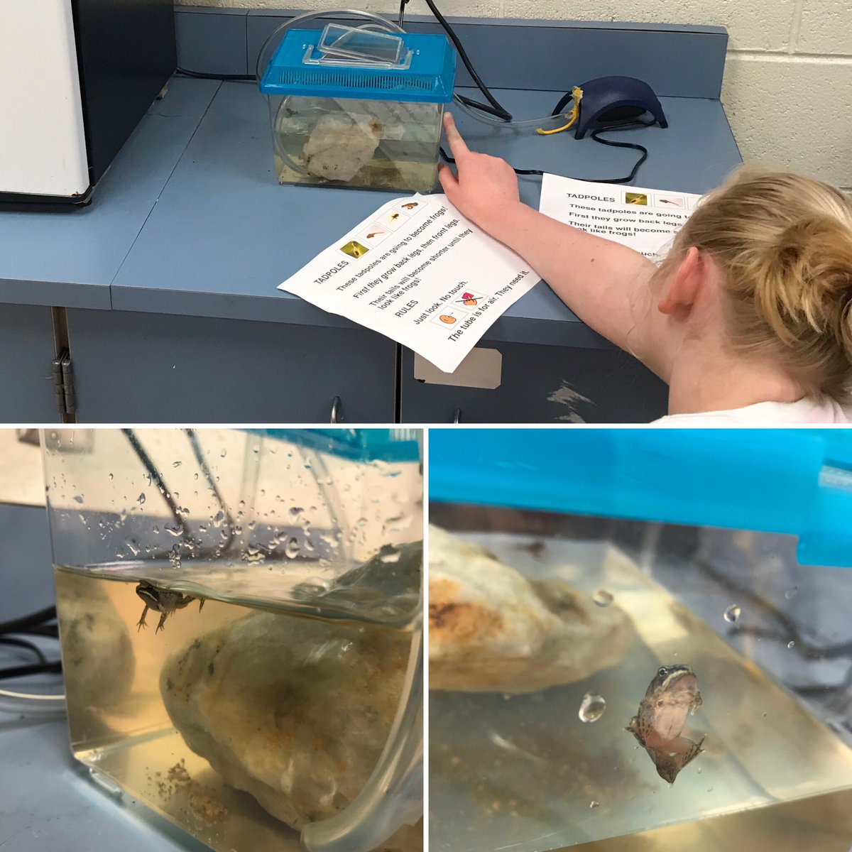 Ms. Maura tweet media