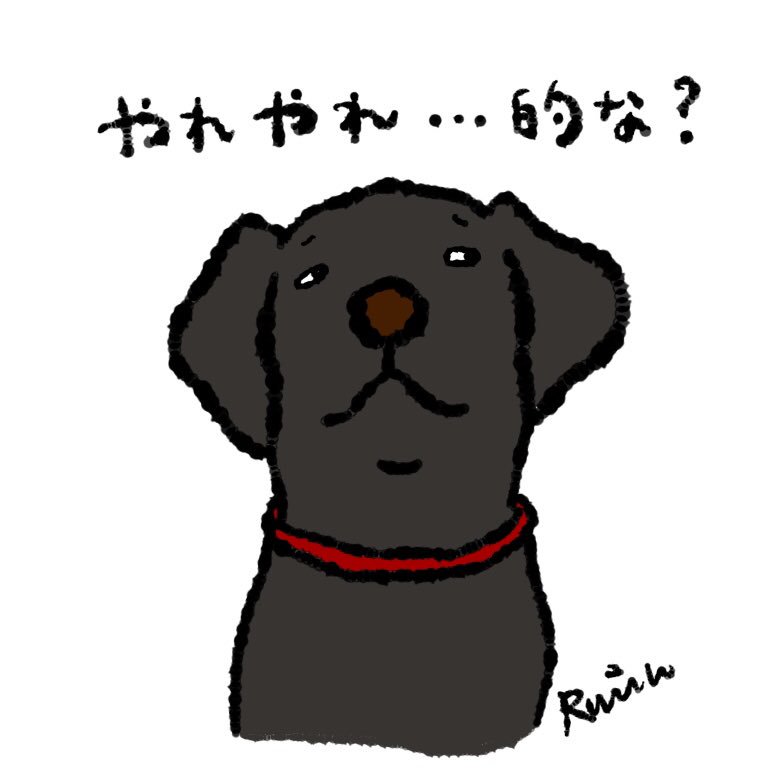 小山るみこ Pa Twitter ラブラドールレトリバー 黒ラブ イヌスト イラスト T Co Leumw7osoy Twitter