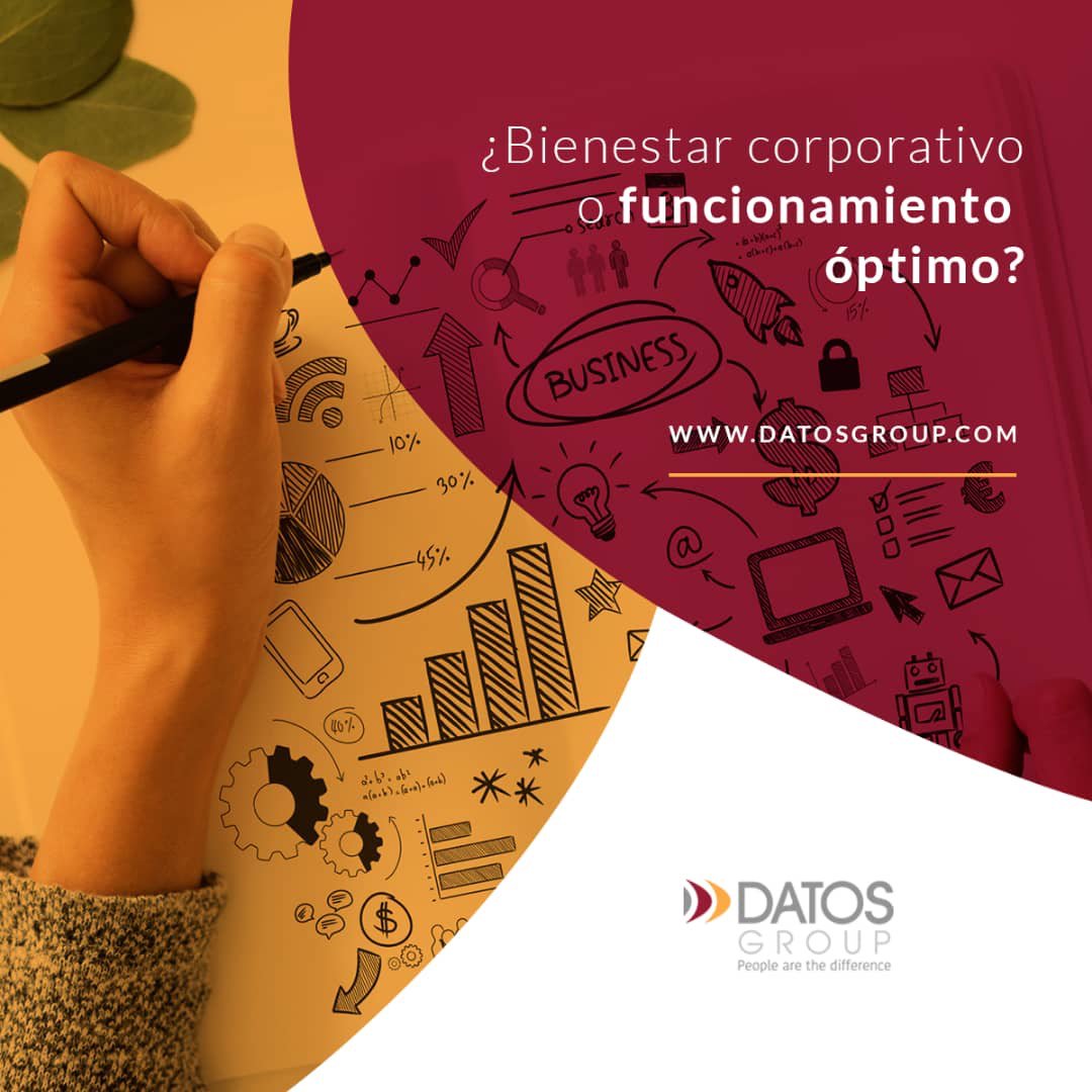 DatosGroup tweet media