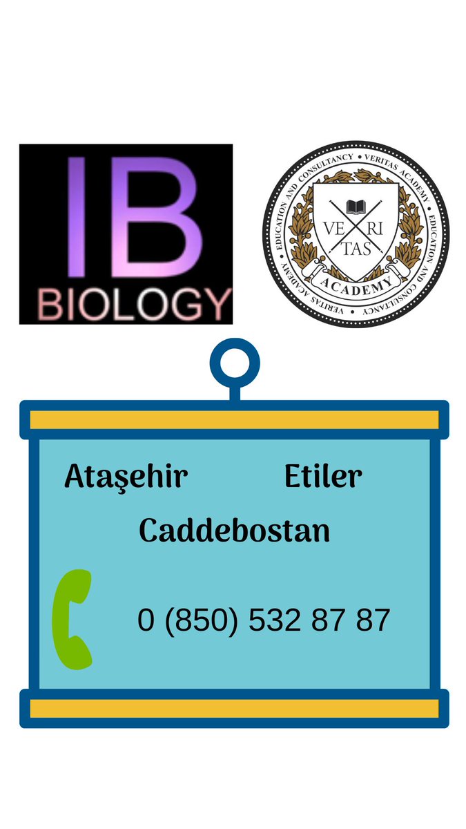#VeritasAcademy #IBBiyoloji Dersleri

Veritas Biyoloji Dersleri - IB Biyoloji Examiner öğretmenlerin eşliğinde verilmektedir. Ayrıca IB Biyoloji derslerinin sonunda IB Biyoloji Etütlerini skpye üzerinden evinizde veya kurslarımızda alabilirsiniz. 

ibozelders.com/ib-biology-oze…