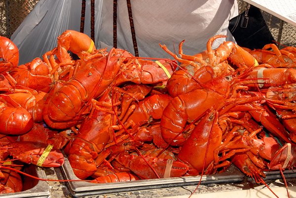 ChowdahFest's tweet photo. What will Chowdah Fest perennial favorite @Dirksfish bring to the event?
Mexican style Shrimp Ceviche?
A SpicyCrayfish salad? 
Oysters or maybe Dungeness Crab Legs? 
Whatever Dirk chooses, it's always one of the most popular items served.
See you in 6 Days! https://t.co/fzhMlWqmuv