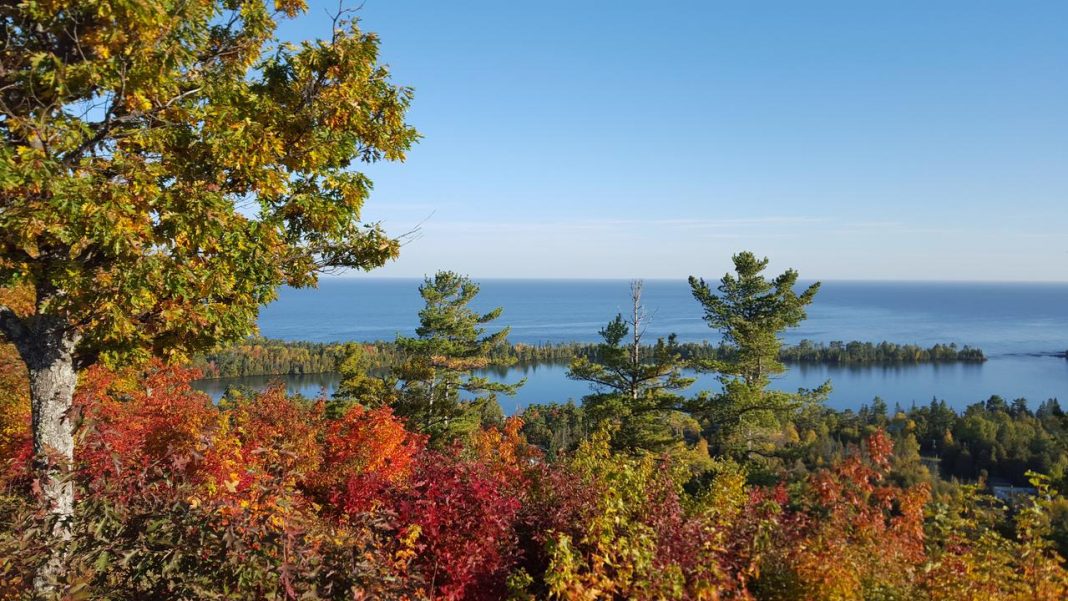 TravelMagazine's tweet photo. When travelling to Great Lakes you’ll find vibrant urban areas, charming small towns and stunning parks and beaches. Discover them for yourself ➡️ https://t.co/SySArLkWbr https://t.co/6RKJhgntSv