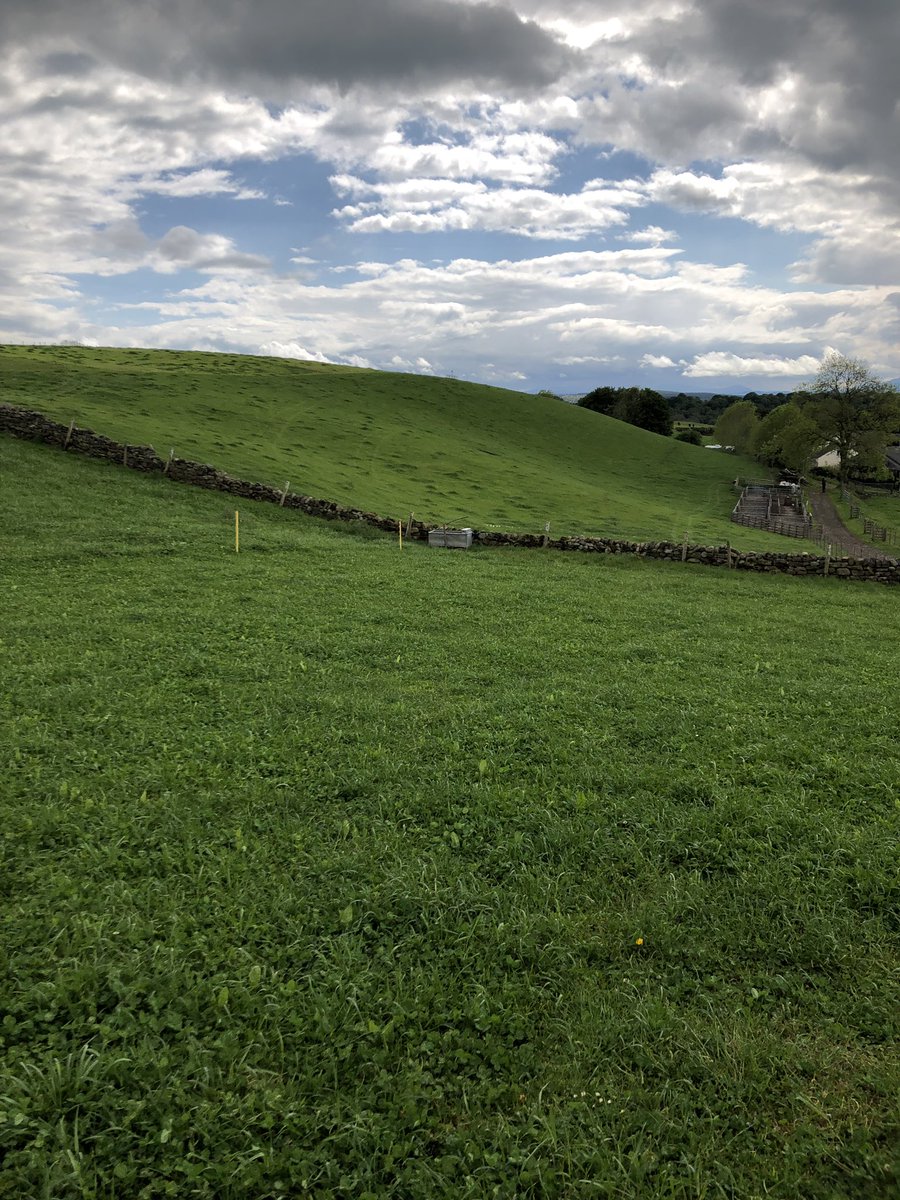 UplandsAlliance's tweet photo. At a really useful session @farmerandhisdog @fellsidefarmer run by @AHDB_BeefLamb on pasture for profit using #cellgrazing #technograzing #sustainablegrazing https://t.co/eQiiCozHxB