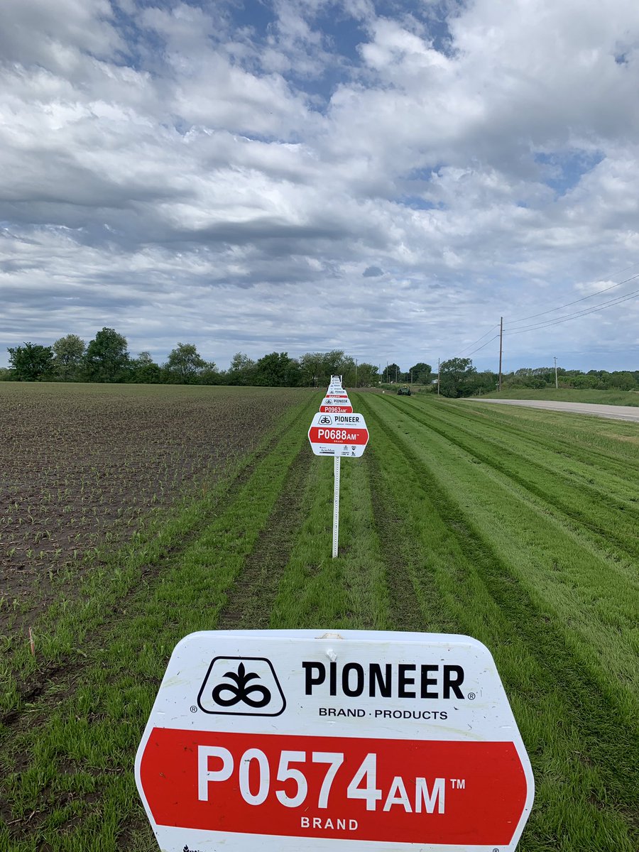 Mid-Iowa Seeds, LLC tweet media