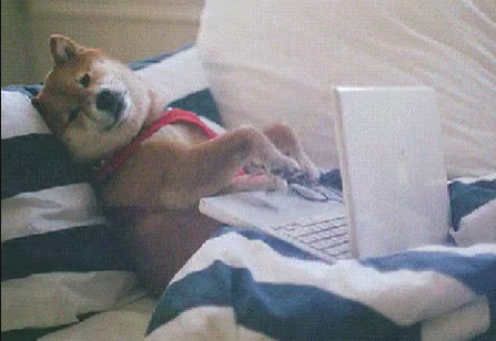 Applying to work at the CRA is simple! Just follow this link to create a candidate profile: ow.ly/wKY350unFui
Once it’s created, you can start applying for jobs! Best part: You can do it all without leaving your bed!