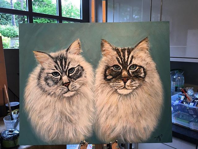 donzartuk's tweet photo. Latest commission! 🎨
Two Beautiful Rag doll Cats Zena &amp;Milo.  #art #artist #painting #petportrait #cats #ragdollcats #commision #idealgift #favouritepet https://t.co/OpJ65xwOPL https://t.co/wjdgRcyLtz