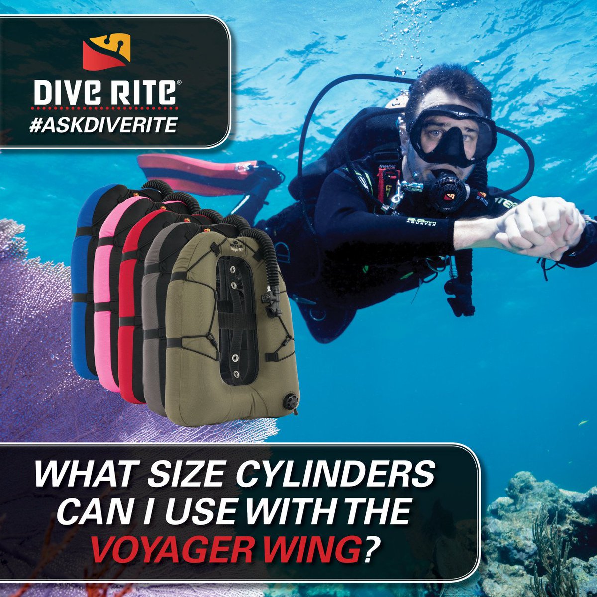 The Voyager wing can be used for a single AL80 to a larger steel cylinder such as LP108/HP120s. 
-
Which of the new Voyager wing colors are you wanting to add to your gear?!

#scubadiving #askdiverite #oceandiving #wreckdiving #diverite