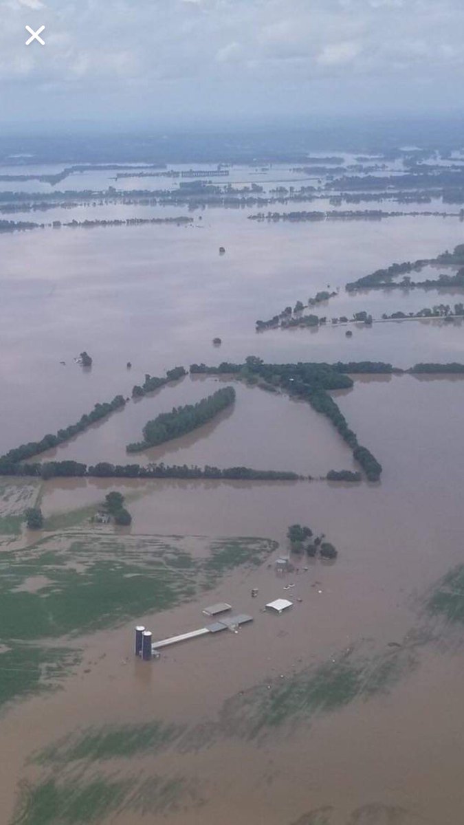This is our farm just over the border from Fort Smith, AR in Oklahoma.  The silos, feedlot, shops, and farmhand’s house all underwater and still rising.  All equipment, animals and people were safely moved out.  Total crop loss this year.