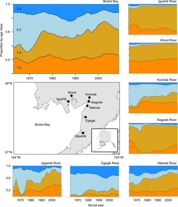 Effects of warming climate and competition in the ocean for life-histories of Pacific salmon rdcu.be/bEHBd

Cline et al show that climate warming impacts the timing of migration from natal  freshwater habitats, with knock-on effects for adult maturation in the  ocean