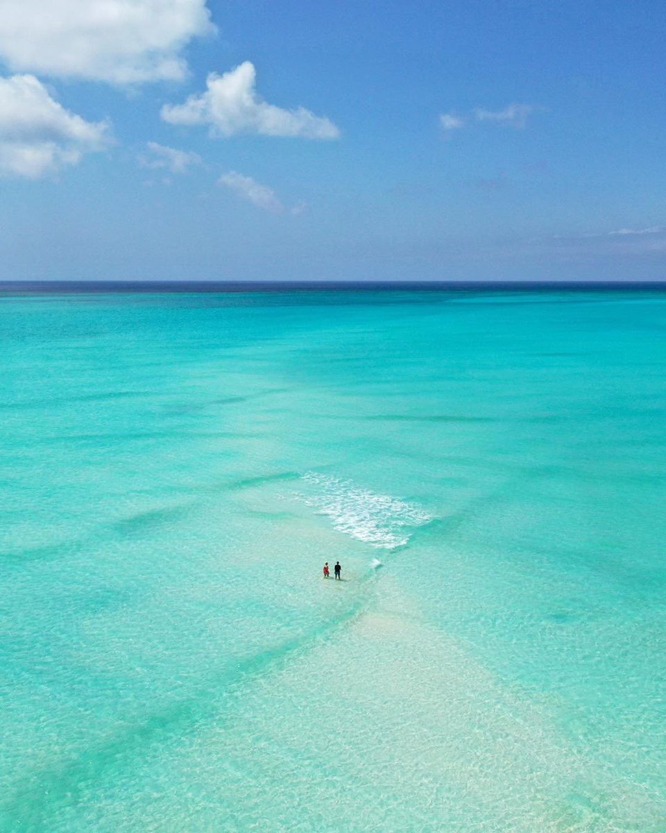Turks & Caicos tweet media