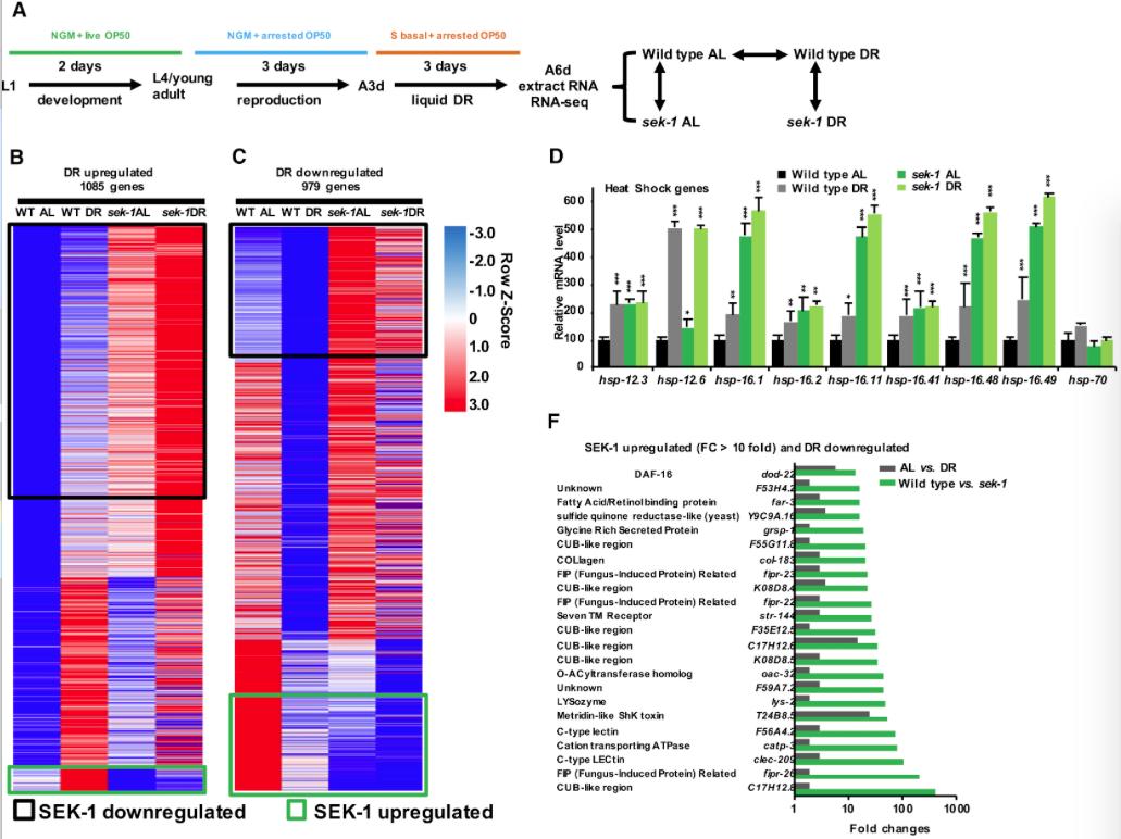 mmw_lmw's tweet photo. #MetabolicRegulation of #InnateImmunity | Dietary restriction longevity requires modulation of nutrient-regulated immunity | Keith Blackwell @JoslinDiabetes @Cell_Metabolism https://t.co/KeFuxi4eK6 https://t.co/FHWio0ARCC