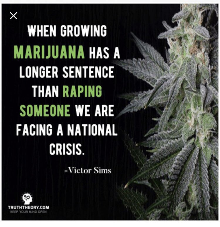 thedankboutique's tweet photo. #NationalCrisis #thedankboutique #alwaysdank #staydank #growingmarijuana #dankdamez #boutiqueboys #marijuanaismedicine #cannabiscures #highlife #420 https://t.co/sribsbhw6y