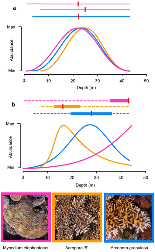 ESAEcology's tweet photo. #New in @ESAEcology

Resolving the depth #zonation paradox in reef-building #corals

#abundance #range

https://t.co/0DD6IHmfEy https://t.co/k4tFom9DLe