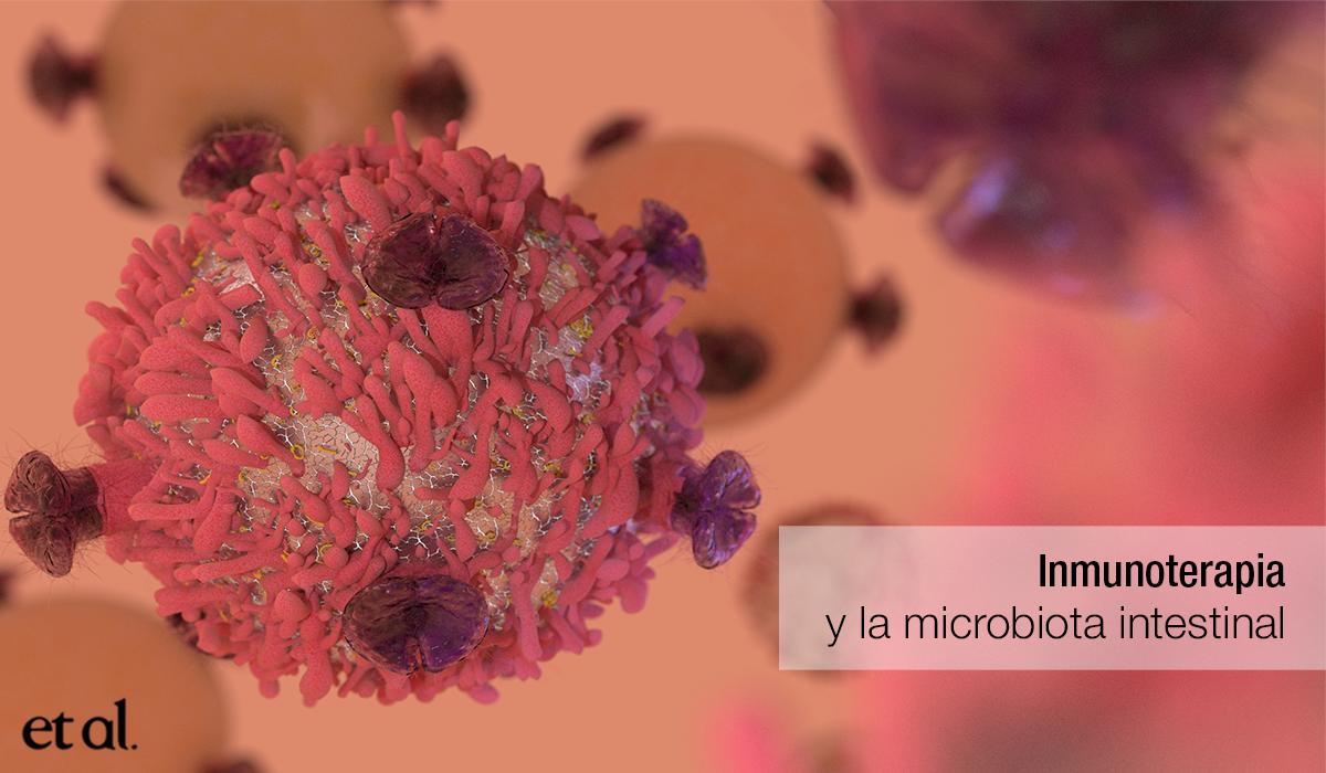 EtalPharma's tweet photo. La #eficacia de ciertas #inmunoterapias contra el #cáncer puede verse afectada por la composición de la #microbiota intestinal. La presencia de ciertas cepas estimula la respuesta #terapéutica y previene AEs. #efectosadversos #oncología #gutmicrobiota https://t.co/peep6IKZQX https://t.co/OowOPvB5l9