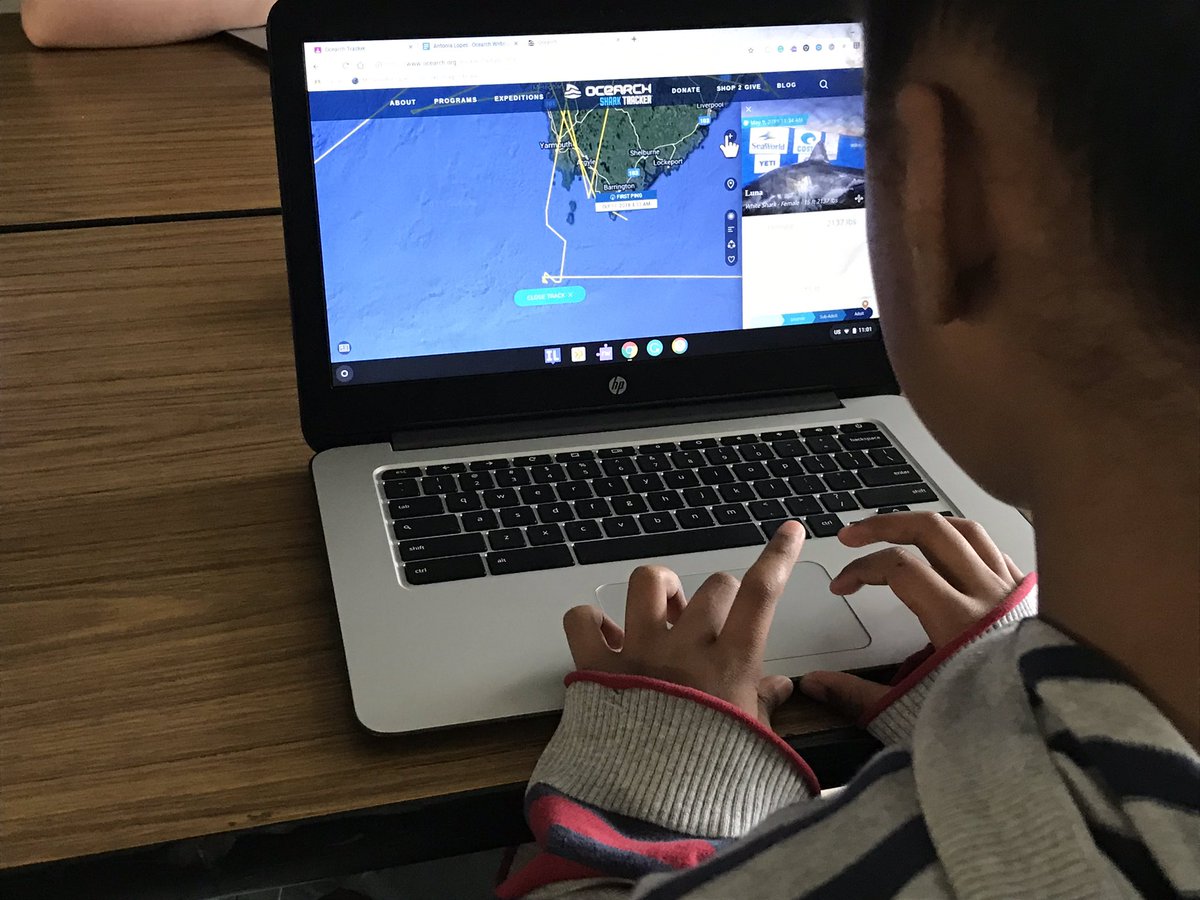 ๐ฝ๐๐๐ ๐๐๐๐๐๐๐๐ข tweet media