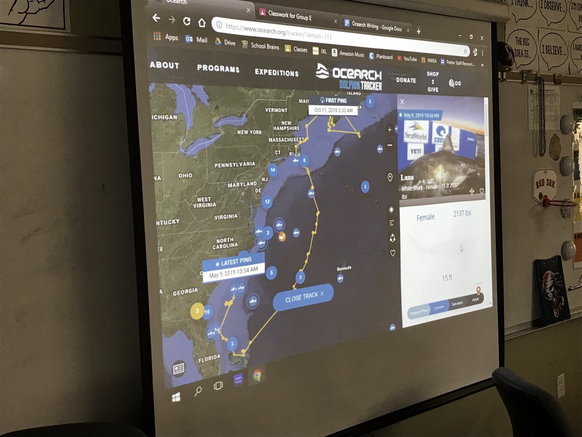 ๐ฝ๐๐๐ ๐๐๐๐๐๐๐๐ข tweet media