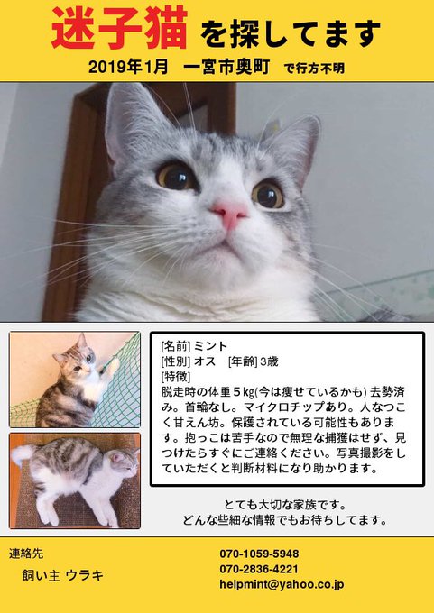 保護猫 高画質 のtwitterイラスト検索結果 保護猫 高画質 のtwitterイラスト検索結果