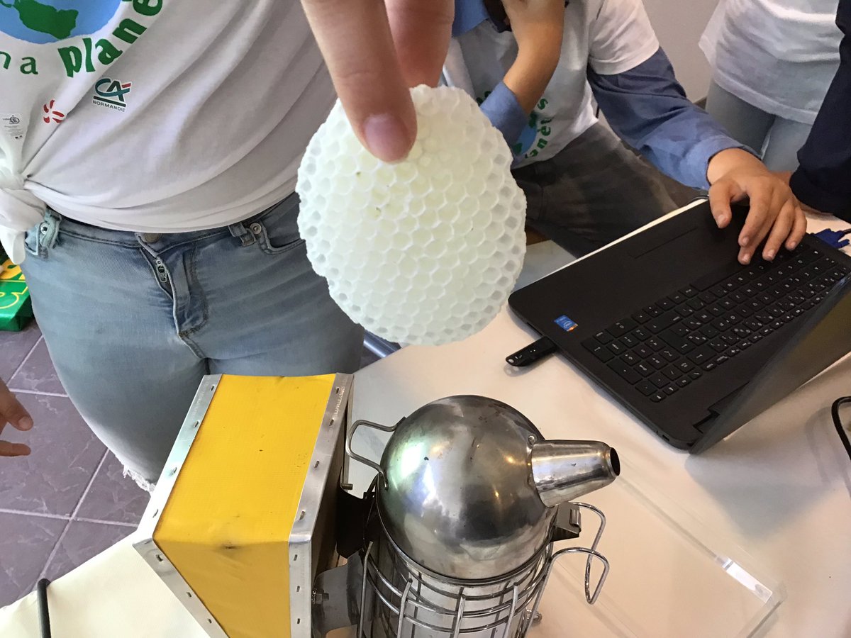 xgauchard's tweet photo. #ecoly19
« Surveillance des abeilles » avec des ruches connectées
Passionnants et passionnés élèves du collège Guillaume de Normandie @acCaen https://t.co/VwoWtmPYrU