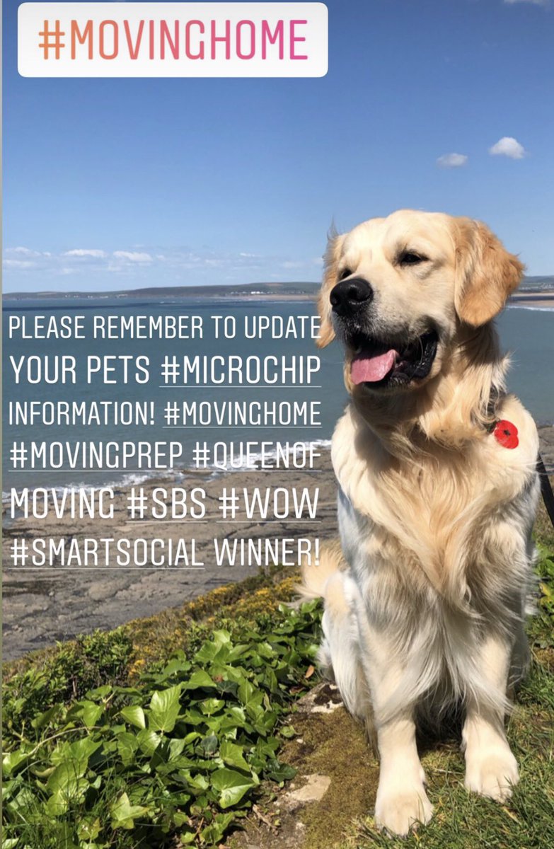 HelpForMovers's tweet photo. So many pets going missing! Please remember to update your details on any microchips! This can often be done online... #MovingHome #removals #relocation #QueenOf Moving #SBS #WOW #smartsocial winner #twittersister #movingprep #stepbystep guide https://t.co/gaQMNA3KhX