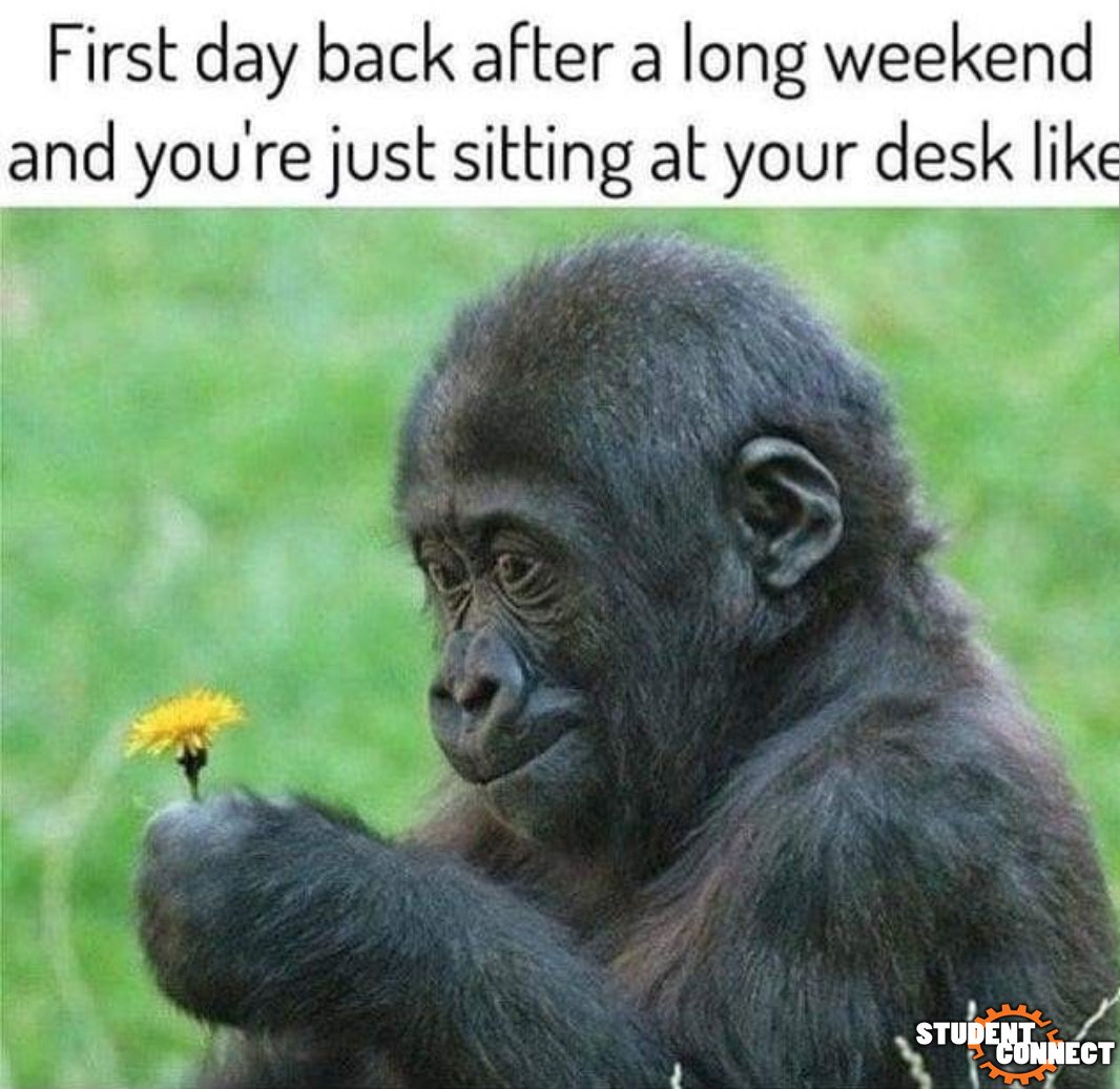 UTSA_TechCafe's tweet photo. First day of summer classes... If you need a distraction, stop by and we'll scan your computer for viruses or something 😕 #UTSA #Summer2019 #UTSA21 #UTSA22 https://t.co/WTV1MkbApZ