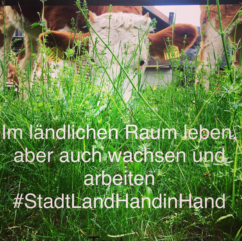Hans Jörg Rüegsegger (@hjruegsegger) on Twitter photo Heute mit der Grossratsfraktion in Zweisimmen, im Einsatz für Stadt UND Land! <a href="/bernstark/">SVP BErnstark</a> <a href="/BernerBauern/">bernerbauern</a> #StadtLandHandinHand #gemeinsamesBern Heute mit der Grossratsfraktion in Zweisimmen, im Einsatz für Stadt UND Land! <a href="/bernstark/">SVP BErnstark</a> <a href="/BernerBauern/">bernerbauern</a> #StadtLandHandinHand #gemeinsamesBern