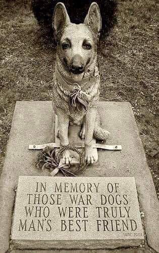 ILove4Dogs's tweet image. We will never forget! #MemorialDay19