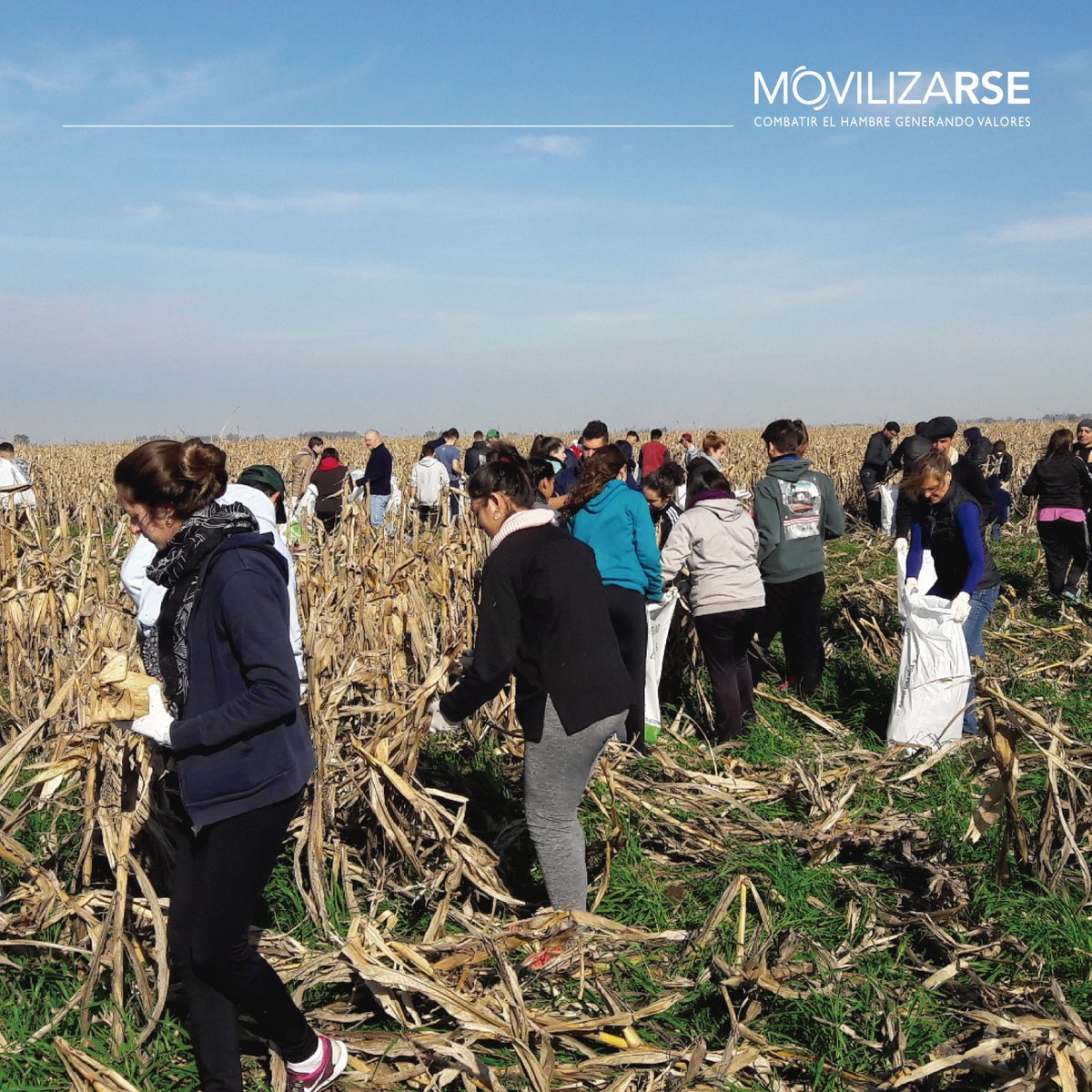 ¡Participá con tu empresa! Podes hacerlo como Sponsor o
como Voluntariado Corporativo. Contactanos y te contamos cómo movilizarse.org/se-parte/
#lachocleada #serparte #valoersquealimentan #MovilizaRSE