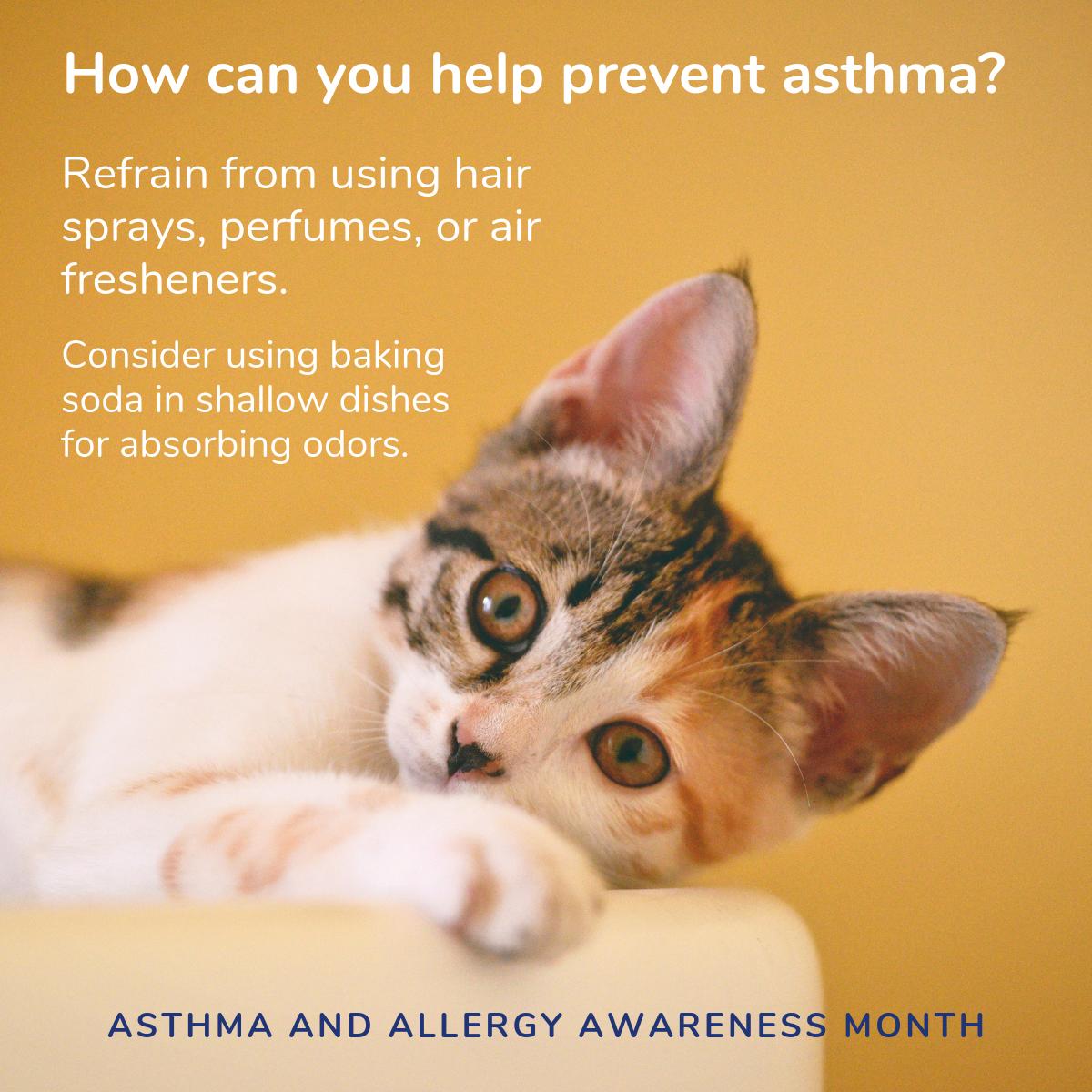 Hair sprays, perfumes, and air fresheners can all affect pets with asthma. Keep your air smelling fresh with baking soda instead!