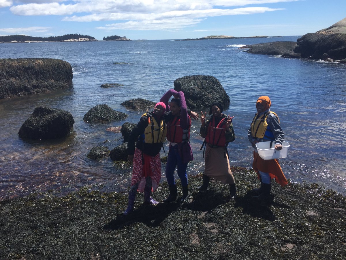 HurricaneIslnd's tweet photo. Our latest blog post is up! Written by educator Isabelle Holt about a short yet sweet afternoon spent with the Lewiston Middle School on Hurricane Island earlier this month. https://t.co/RJ2COX1FHH https://t.co/j270A5oqLg