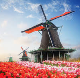 Monroe Crossing tweet media