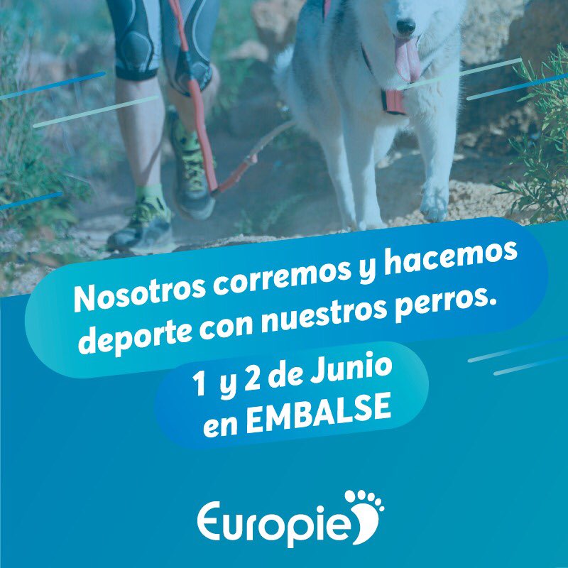 EuropieArg's tweet photo. 🐶❤ Correr con tu mejor amigo de cuatro patas es posible... ¡Entrá a CanRun y averiguá más! 👈 https://t.co/IkeP6QSlUU