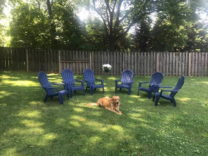 PBane1's tweet image. Bear dog waiting for his friends to arrive yesterday.