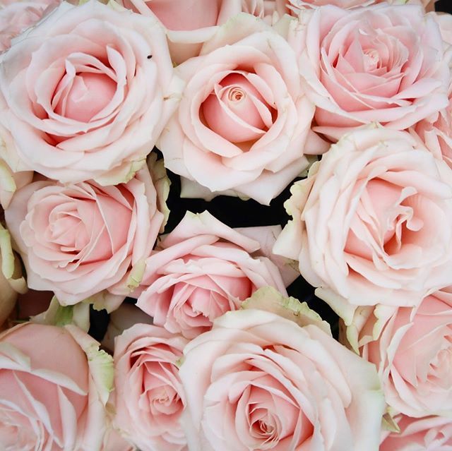 I promise I’ve not fallen off the face of the earth—I’ve just fallen in love with gardening!
After nearly two years of letting our back garden go, we decided this spring to make it a place we love. And as such we’ve been making weekly trips to the garden… bit.ly/2K8QBVt