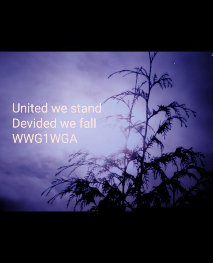 Blue_Eyes_88_'s tweet image. #United we stand
#Devided we fall
#WWG1WGA
