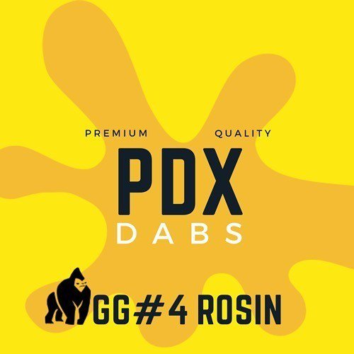 PDX Dabs (@PdxDabs) / Posts / X