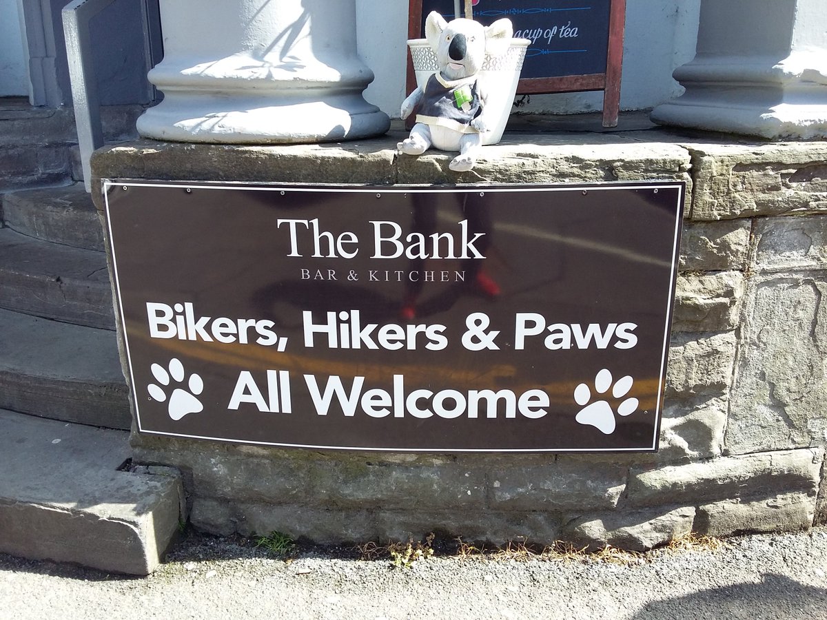 Nigel the koala tweet media