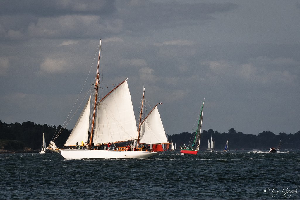 CGryph's tweet photo. Demat ! Bonjour ! 
La #semaineduGolfe 2019...
"Skeaf", Douarnenez
.
#MagnifiqueBretagne #Bretagne #Morbihan #GolfeduMorbihan #CoucherdeSoleil #Photographie https://t.co/f1jQSyQyaK