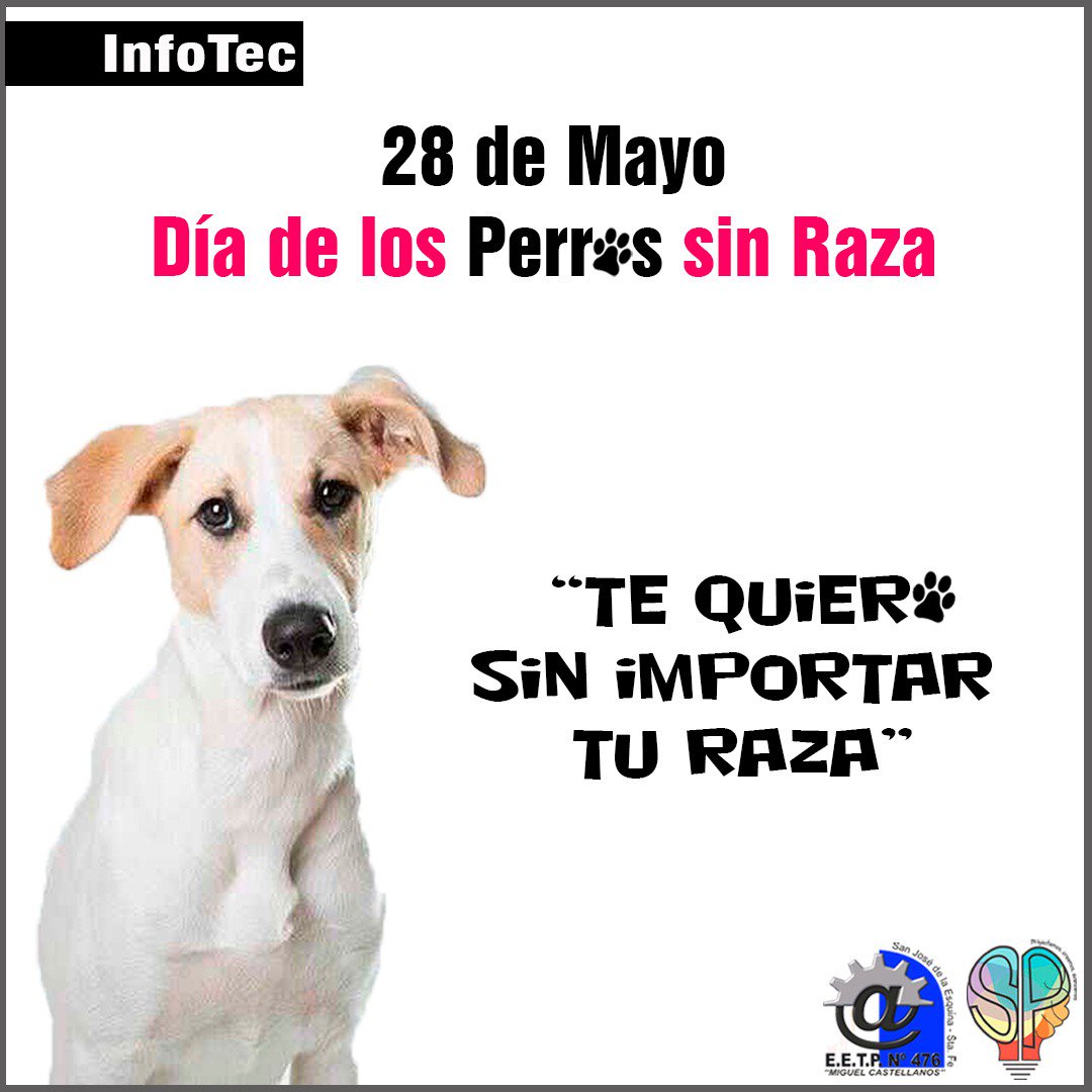 6taproduccion's tweet photo. Hoy 28 de Mayo celebramos el "Día del Perro sin Raza".
Se conmemora en todo el mundo y  es un día que tiene vida propia. 
"Tú eres único, tu perro también" 🐾💕
#InfoTec #Efemérides #SextaProducción #EnLaTécnicaNoParamos https://t.co/SJEoQYTU1B